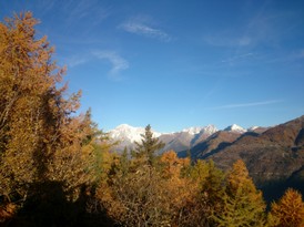 Foto in fondo alle pagine 3.JPG